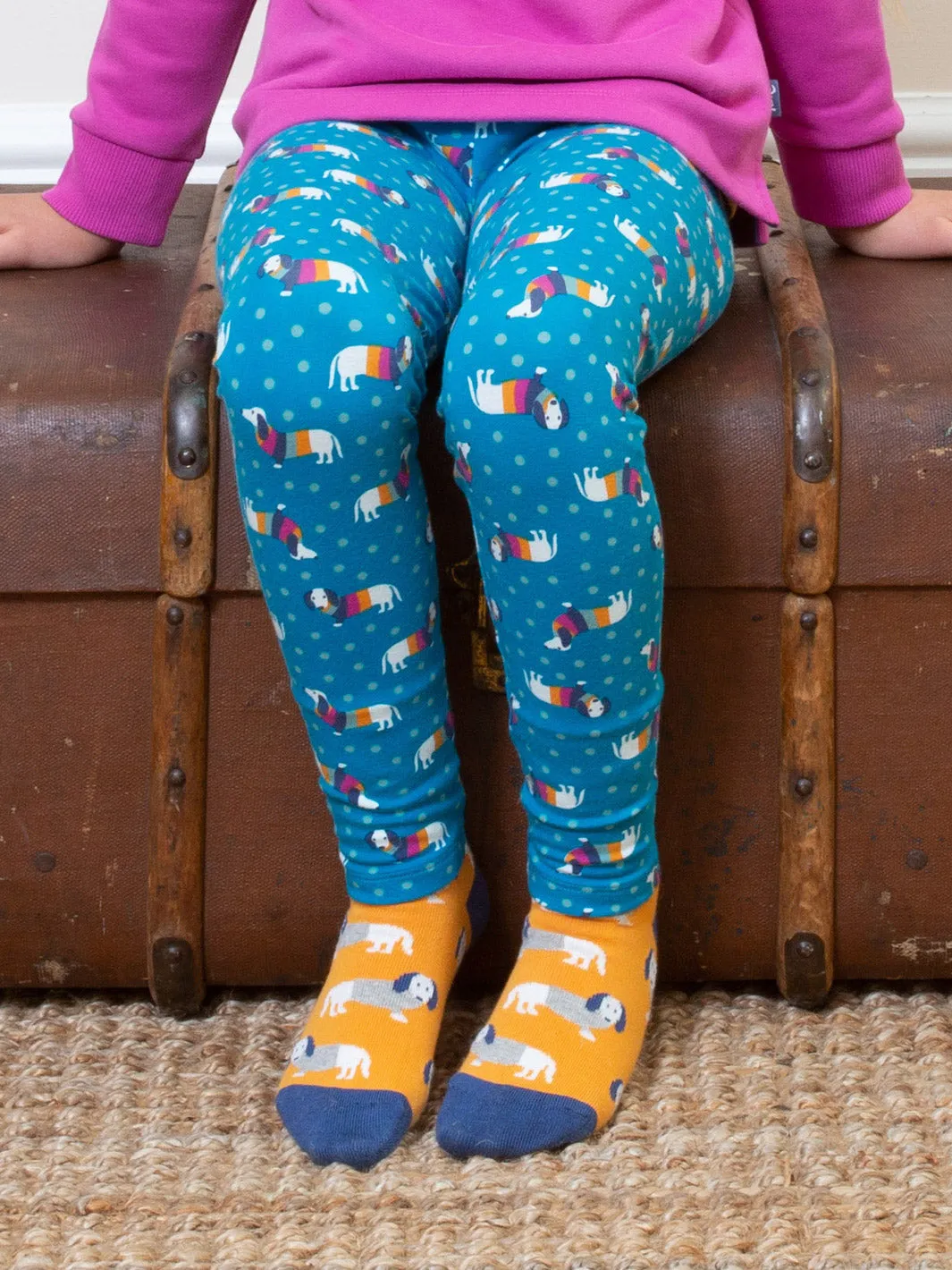 Daxie dog socks