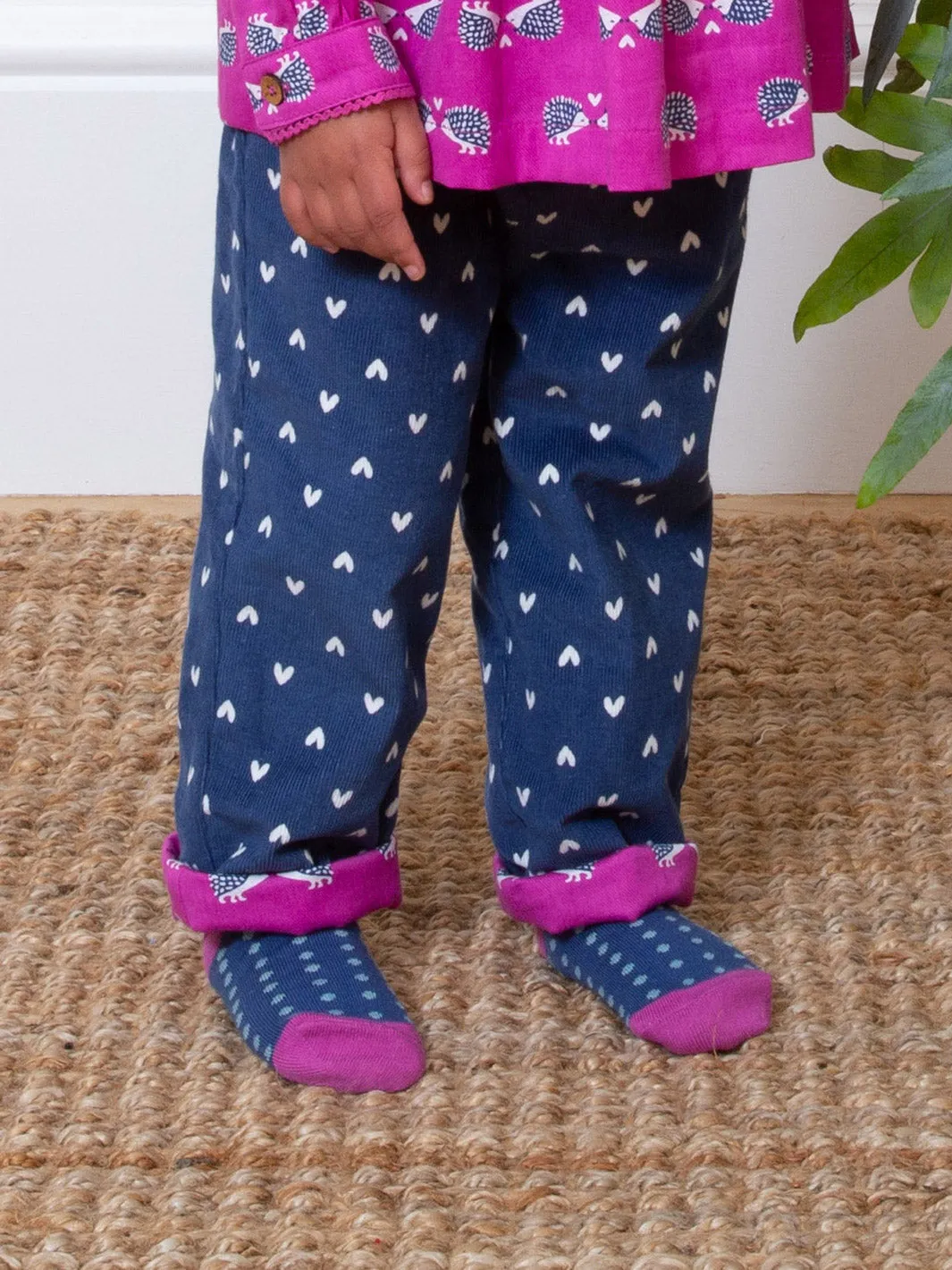 Daxie dog socks